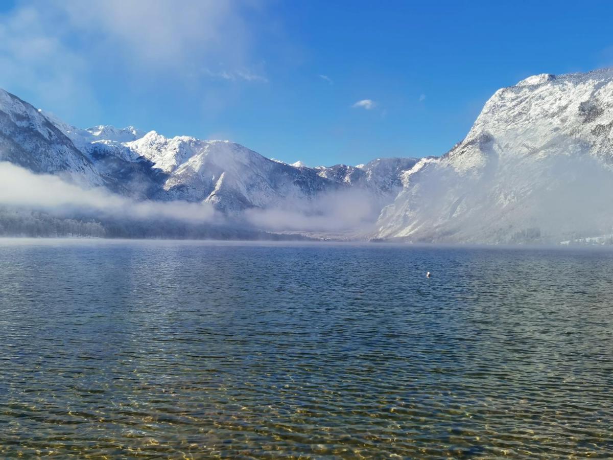 Cottage Suha Bohinj Zewnętrze zdjęcie